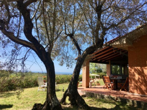 TOSCANA TOUR - Cottage Gaia with sea view, fenced garden Guardistallo